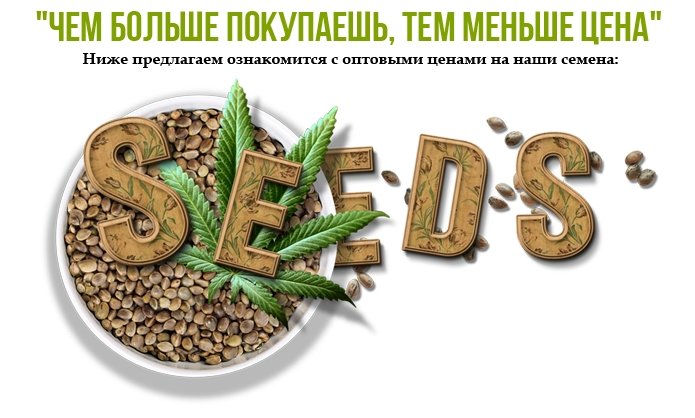 Семена конопли оптом - GanjaSeedsGroup