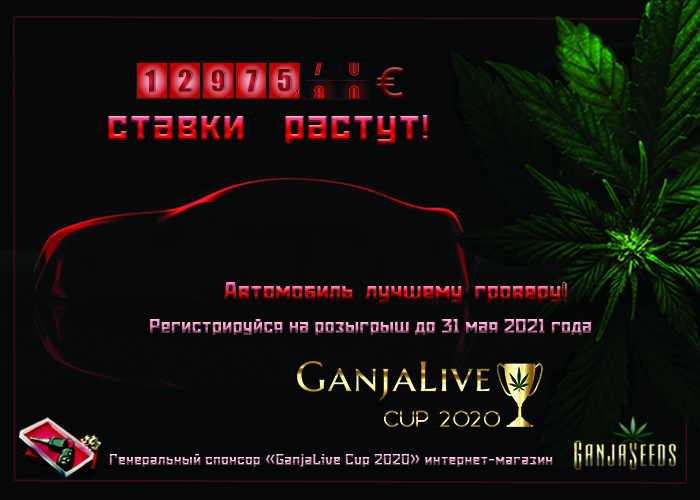 «GanjaLive Cup 2020» - подари себе к лету автомобиль!
