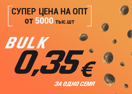 Налетай, не скупись - обвальные оптовые цены на семена конопли до 0,35 евро!