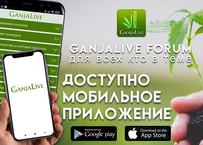 Бесплатное мобильное приложение «GanjaLive» – весь grow-мир на ладони