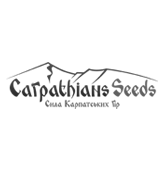 Carpathians Seeds