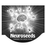Neuro Seeds