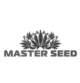 Master Seed