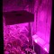 Гроубокс в сборе Джин 1000х1000х2000 + Гагарин 2 для выращивания марихуаны