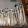 споры псилоцибиновый гриб купить Panaeolus Cyanescens Wild Coast African