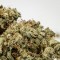 Afghan Haze feminised Ganja Live Seeds