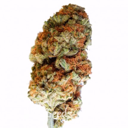 Bubble Gum feminised Ganja Seeds