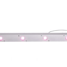 Союз 1 LED - линейный светодиодный фитосветильник