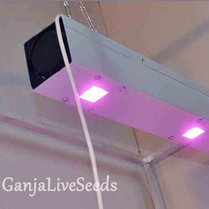 Союз 2 LED - линейный светодиодный фитосветильник
