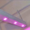 Линейный светодиодный фитосветильник LED Союз 2 для марихуаны