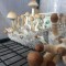 заказать споры псилоцибиновых грибов Orissa наложенным платежом
