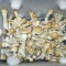 заказать споры псилоцибиновых грибов Ecuador курьером