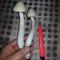 купить качественные споры псилоцибиновых грибов Panaeolus Cambodginiensis