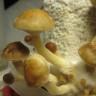заказ споры псилоцибиновых грибов Argentina