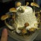 купить взвесь псилоцибиновых грибов недорого Argentina