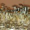 заказ оттиск псилоцибиновых грибов Cambodian Украина