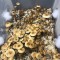 купить взвесь псилоцибиновых грибов Golden Teacher в Украине