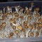 заказать споры псилоцибиновых грибов Tapalpa курьером
