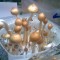 заказать споры псилоцибиновых грибов Huatla