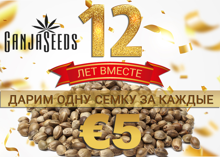 12 лет GanjaSeeds и море бесплатных семян!