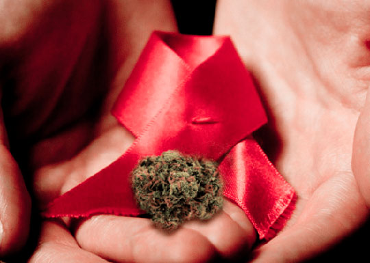 Болеющие ВИЧ объединяются для легализации марихуаны